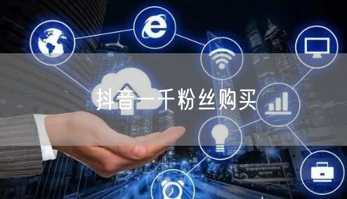 抖音一千粉丝购买