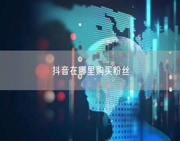 抖音在哪里购买粉丝