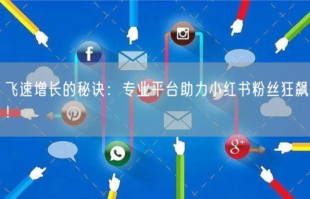 飞速增长的秘诀:专业平台助力小红书粉丝狂飙!