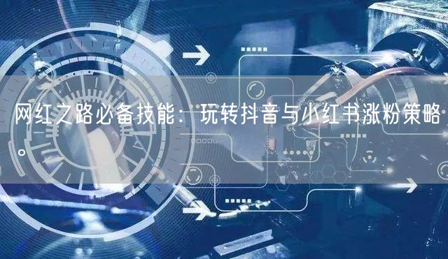 网红之路必备技能：玩转抖音与小红书涨粉策略。