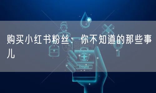 购买小红书粉丝:你不知道的那些事儿