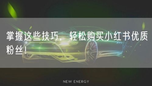 掌握这些技巧,轻松购买小红书优质粉丝!