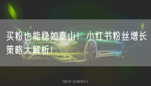 买粉也能稳如泰山！小红书粉丝增长策略大解析！