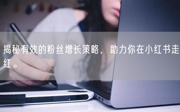 揭秘有效的粉丝增长策略，助力你在小红书走红。