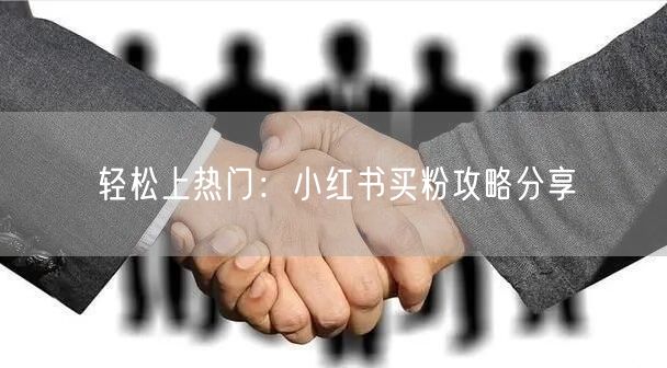 轻松上热门：小红书买粉攻略分享