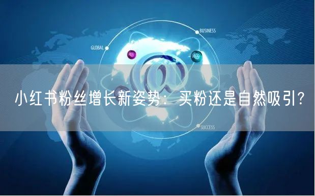 小红书粉丝增长新姿势：买粉还是自然吸引？