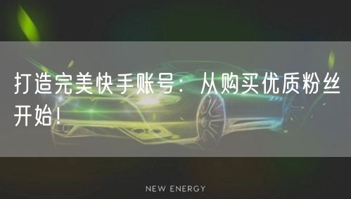 打造完美快手账号：从购买优质粉丝开始！