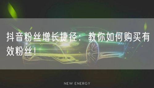 抖音粉丝增长捷径：教你如何购买有效粉丝！
