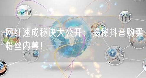 网红速成秘诀大公开：揭秘抖音购买粉丝内幕！
