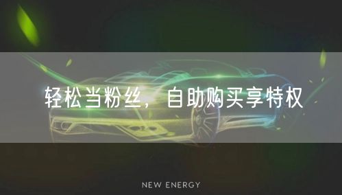 轻松当粉丝,自助购买享特权