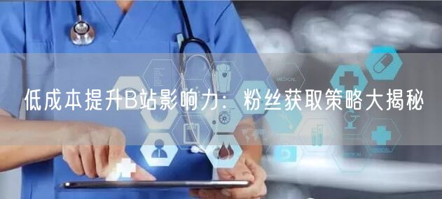 低成本提升B站影响力：粉丝获取策略大揭秘