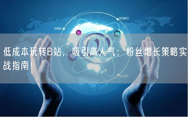 低成本玩转B站，吸引高人气：粉丝增长策略实战指南！
