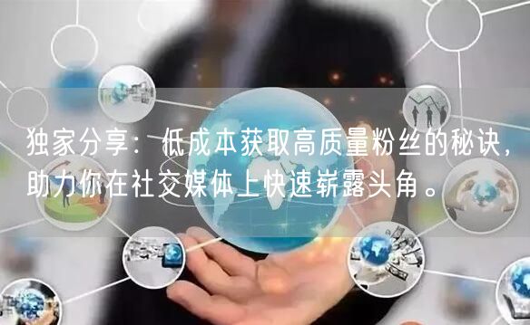 独家分享：低成本获取高质量粉丝的秘诀，助力你在社交媒体上快速崭露头角。
