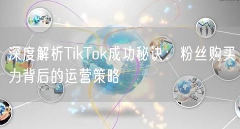 深度解析TikTok成功秘诀：粉丝购买力背后的运营策略
