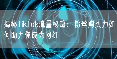揭秘TikTok流量秘籍：粉丝购买力如何助力你成为网红