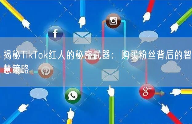 揭秘TikTok红人的秘密武器：购买粉丝背后的智慧策略