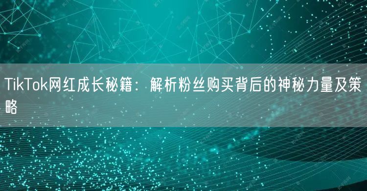 TikTok网红成长秘籍：解析粉丝购买背后的神秘力量及策略