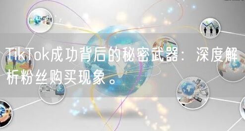 TikTok成功背后的秘密武器：深度解析粉丝购买现象。