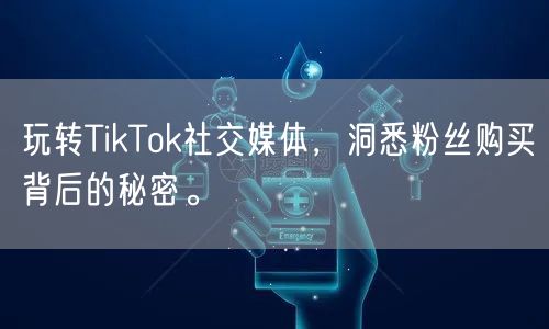 玩转TikTok社交媒体，洞悉粉丝购买背后的秘密。