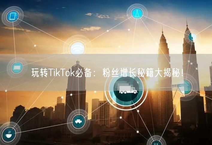 玩转TikTok必备：粉丝增长秘籍大揭秘！
