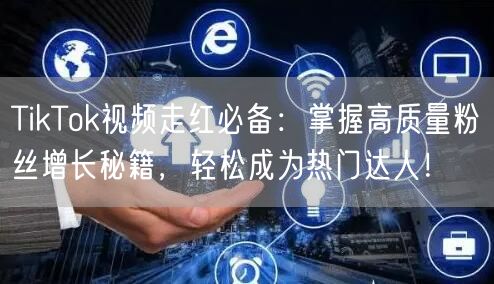 TikTok视频走红必备：掌握高质量粉丝增长秘籍，轻松成为热门达人！