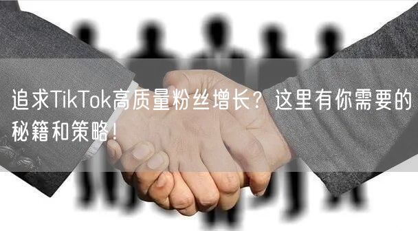 追求TikTok高质量粉丝增长？这里有你需要的秘籍和策略！