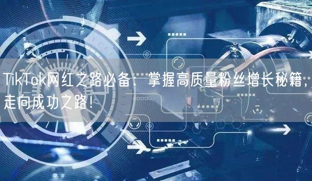 TikTok网红之路必备：掌握高质量粉丝增长秘籍，走向成功之路！