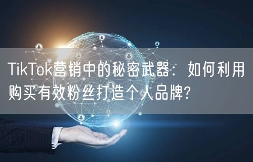 TikTok营销中的秘密武器：如何利用购买有效粉丝打造个人品牌?