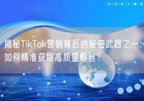 揭秘TikTok营销背后的秘密武器之一：如何精准获取高质量粉丝？