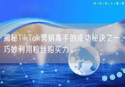 揭秘TikTok营销高手的成功秘诀之一：巧妙利用粉丝购买力。