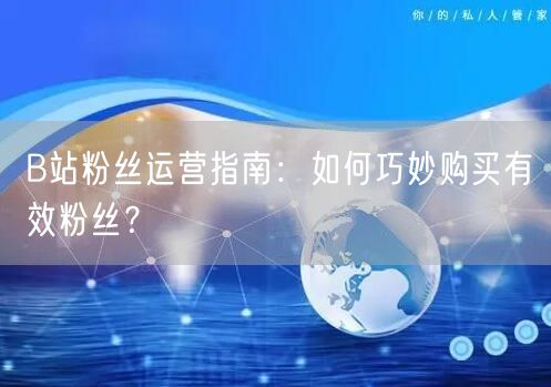 B站粉丝运营指南：如何巧妙购买有效粉丝？