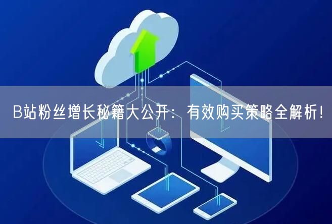 B站粉丝增长秘籍大公开：有效购买策略全解析！