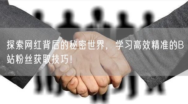 探索网红背后的秘密世界，学习高效精准的B站粉丝获取技巧！