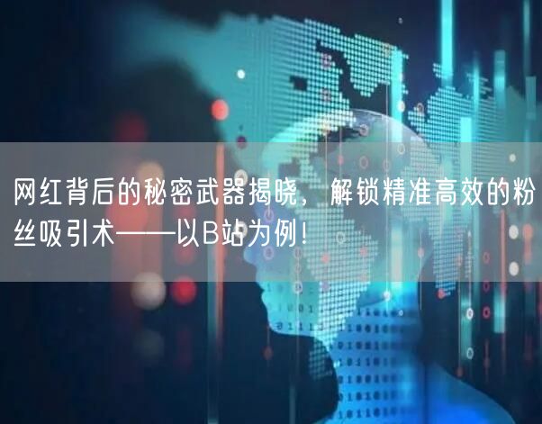 网红背后的秘密武器揭晓，解锁精准高效的粉丝吸引术——以B站为例！