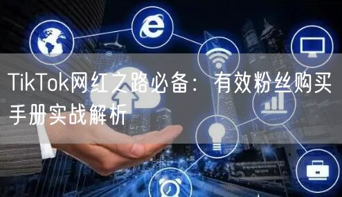 TikTok网红之路必备：有效粉丝购买手册实战解析