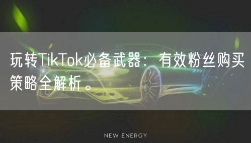 玩转TikTok必备武器：有效粉丝购买策略全解析。
