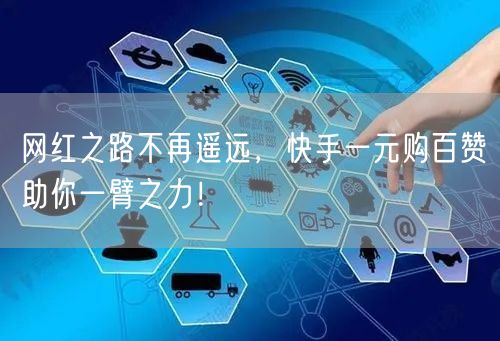 网红之路不再遥远，快手一元购百赞助你一臂之力！