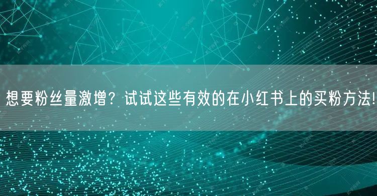 想要粉丝量激增？试试这些有效的在小红书上的买粉方法!