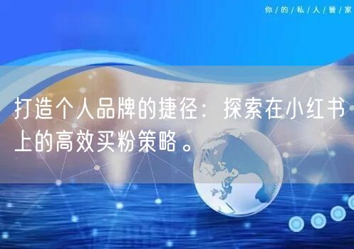 打造个人品牌的捷径：探索在小红书上的高效买粉策略。