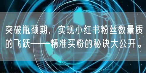 突破瓶颈期，实现小红书粉丝数量质的飞跃——精准买粉的秘诀大公开。