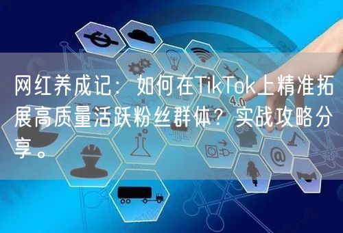 网红养成记：如何在TikTok上精准拓展高质量活跃粉丝群体？实战攻略分享。