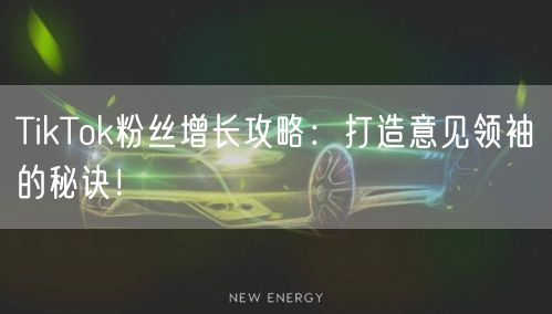 TikTok粉丝增长攻略：打造意见领袖的秘诀！