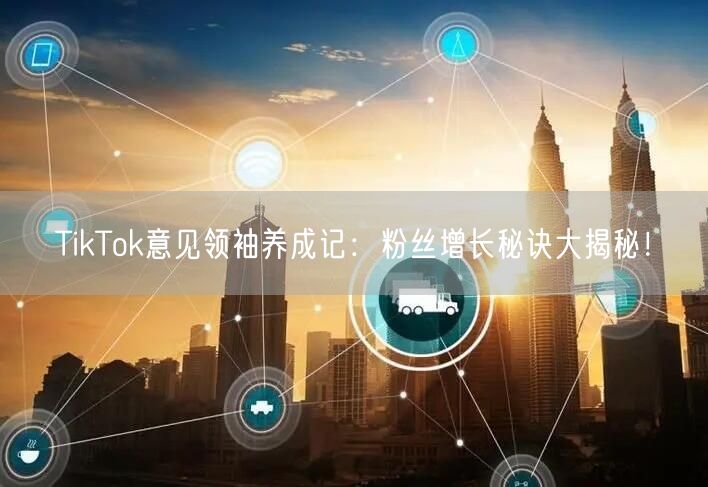 TikTok意见领袖养成记：粉丝增长秘诀大揭秘！