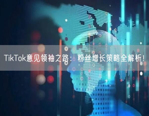 TikTok意见领袖之路：粉丝增长策略全解析！