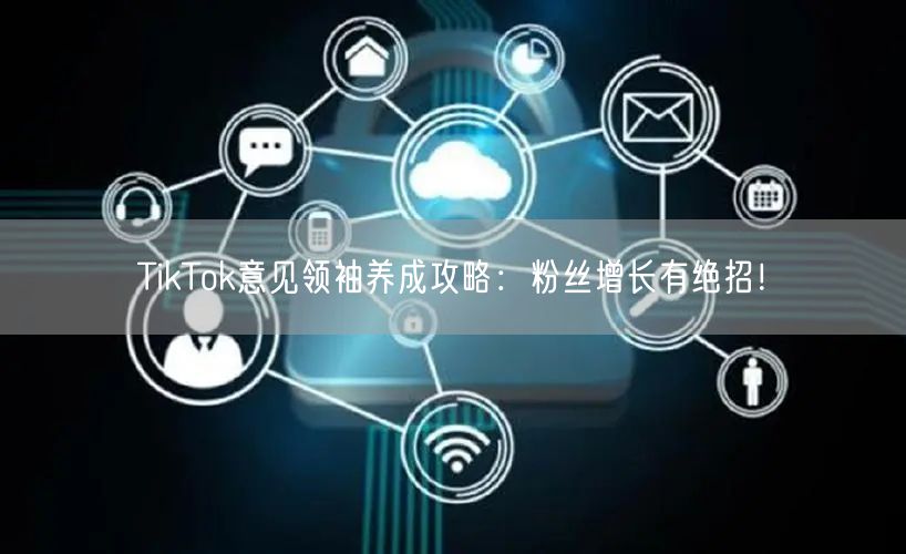 TikTok意见领袖养成攻略：粉丝增长有绝招！