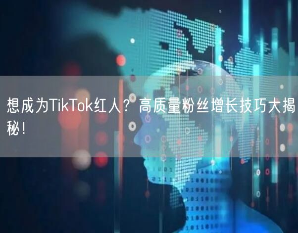 想成为TikTok红人？高质量粉丝增长技巧大揭秘！