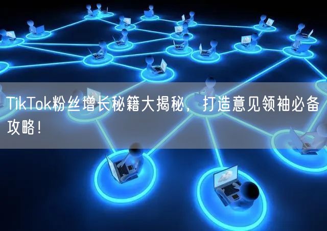 TikTok粉丝增长秘籍大揭秘，打造意见领袖必备攻略！