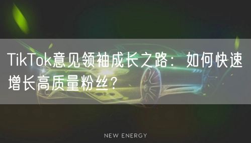 TikTok意见领袖成长之路：如何快速增长高质量粉丝？