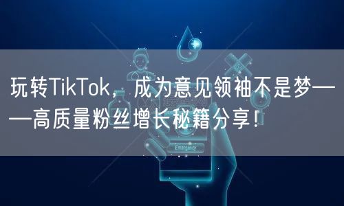 玩转TikTok，成为意见领袖不是梦——高质量粉丝增长秘籍分享！