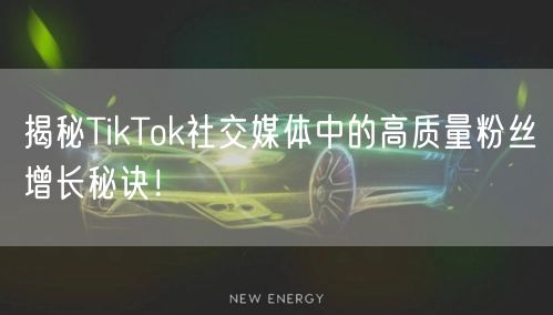 揭秘TikTok社交媒体中的高质量粉丝增长秘诀！
